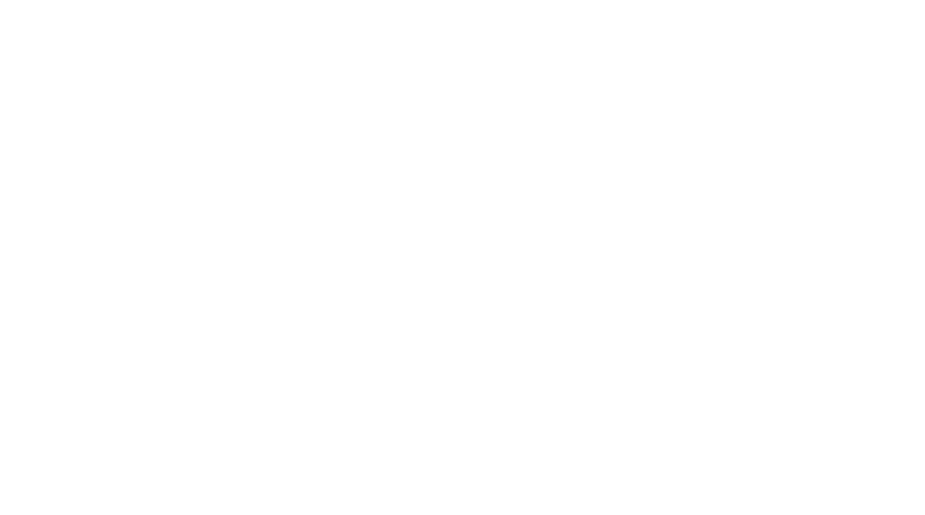 BestVersion